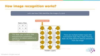 CNN ( convolutional neural network ).pdf