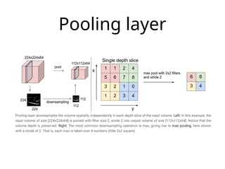Basic CNN with visual, diagram, application | PPTX