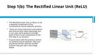 Understanding Convolutional Neural Networks: From Brain Function to ...