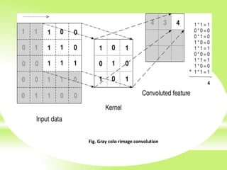 Fig. Gray colo rimage convolution
 