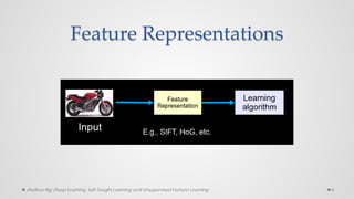 Convolutional Neural Networks (CNN) | PDF