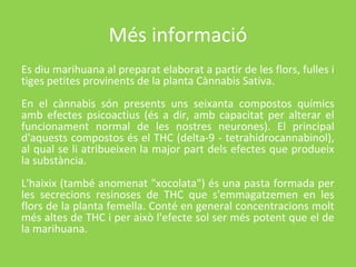 Més informació
Es diu marihuana al preparat elaborat a partir de les flors, fulles i
tiges petites provinents de la planta Cànnabis Sativa.
En el cànnabis són presents uns seixanta compostos químics
amb efectes psicoactius (és a dir, amb capacitat per alterar el
funcionament normal de les nostres neurones). El principal
d'aquests compostos és el THC (delta-9 - tetrahidrocannabinol),
al qual se li atribueixen la major part dels efectes que produeix
la substància.
L'haixix (també anomenat "xocolata") és una pasta formada per
les secrecions resinoses de THC que s'emmagatzemen en les
flors de la planta femella. Conté en general concentracions molt
més altes de THC i per això l'efecte sol ser més potent que el de
la marihuana.
 