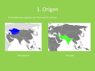 1. Origen
El cànnabis són originaris de l'Àsia central i del sud.




          Àsia central                                    Àsia sud
 