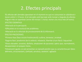 2. Efectes principals
Els efectes del cànnabis apareixen en el moment en què es consumeix la substància i
duren entre 1 i 3 hores. Si el cànnabis està barrejat amb menjar o beguda els efectes
triguen més en aparèixer (entre 30 minuts i 1 hora) i duren una mica més (4 hores).
EFECTES COGNITIUS
•Alteració en la percepció.
•Dificultats en la resolució de problemes.
•Alteració en la velocitat de processament de la informació.
EFECTES PSICOLÒGICS
•Primera fase (fase inicial d’estimulació): eufòria, benestar, ansietat.
•Segona fase: predomini de la sedació, relaxació, hilaritat (riure fàcil) i loquacitat.
•Dosis elevades: ansietat, disfòria, símptomes de paranoia i pànic que, normalment,
desapareixen en poques hores.
•Intoxicació aguda: es pot presentar un episodi psicòtic que es caracteritza per idees
delirants, al·lucinacions, confusió, amnèsia, ansietat i agitació.
 