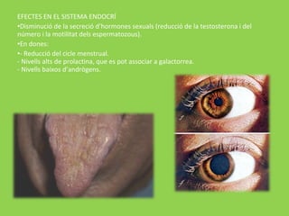EFECTES EN EL SISTEMA ENDOCRÍ
•Disminució de la secreció d’hormones sexuals (reducció de la testosterona i del
número i la motilitat dels espermatozous).
•En dones:
•- Reducció del cicle menstrual.
- Nivells alts de prolactina, que es pot associar a galactorrea.
- Nivells baixos d’andrògens.
 