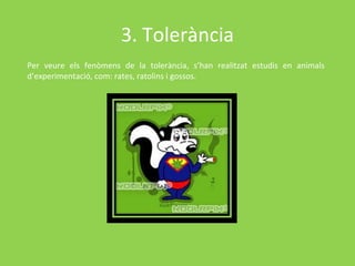 3. Tolerància
Per veure els fenòmens de la tolerància, s’han realitzat estudis en animals
d’experimentació, com: rates, ratolins i gossos.
 