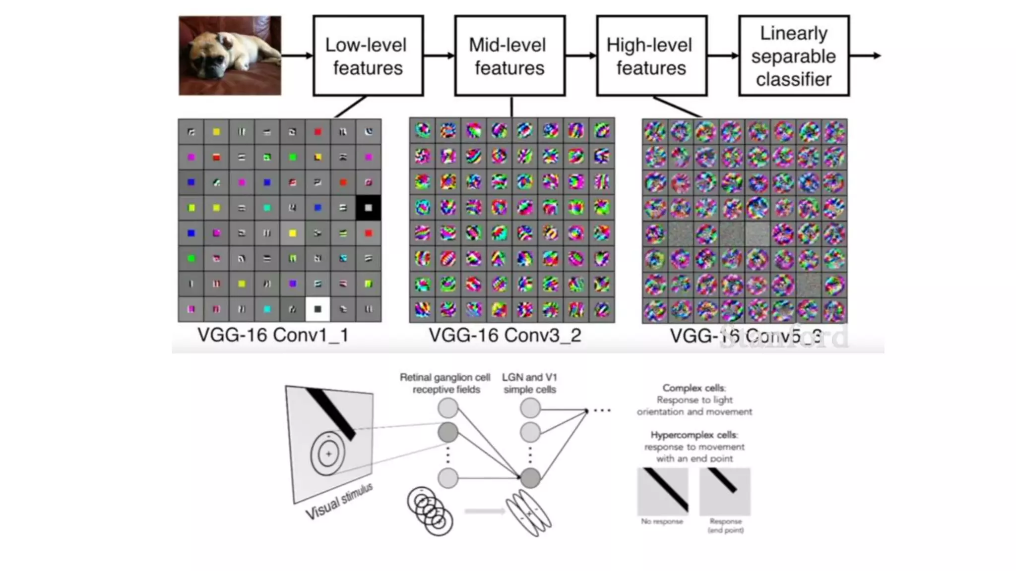Deep Learning or Convolutional Neural Network | PPTX