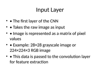 Comprehensive Overview of Convolutional Neural Network (CNN ...