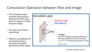 Convolution Operation between filter and image
• The convolution layer
computes dot products
between the filter and a
piece of image as it slides
along the image
• The step size of slide is
called stride
• Without any padding, the
convolution process
decreases the spatial
dimensions of the output
Fig Credit: A Karpathy, CS231n
 