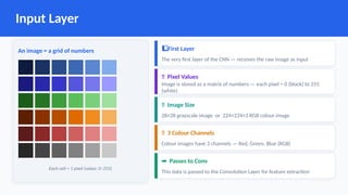 Comprehensive Overview of CNN Architecture and Image Processing | PPTX