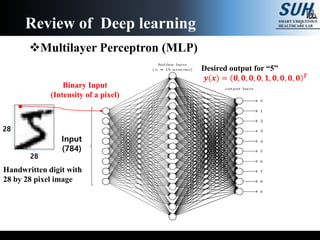 Multilayer Perceptron (MLP)
Review of Deep learning
Handwritten digit with
28 by 28 pixel image
Binary Input
(Intensity of a pixel)
28
28
Input
(784)
Desired output for “5”
𝒚(𝒙) = 𝟎, 𝟎, 𝟎, 𝟎, 𝟏, 𝟎, 𝟎, 𝟎, 𝟎 𝑻
 