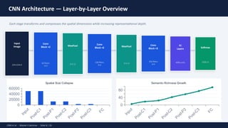 Comprehensive Overview of Convolutional Neural Networks in AI ...