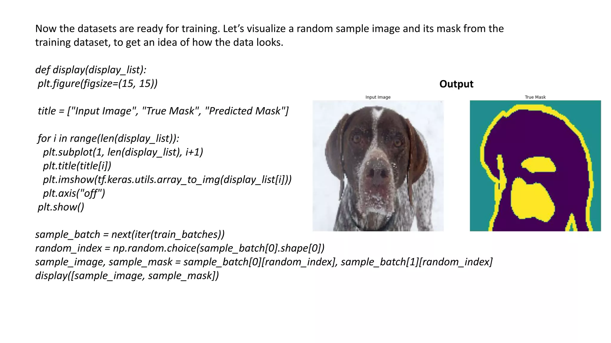 Now the datasets are ready for training. Let’s visualize a random sample image and its mask from the
training dataset, to get an idea of how the data looks.​​
def display(display_list):
plt.figure(figsize=(15, 15))
title = ["Input Image", "True Mask", "Predicted Mask"]
for i in range(len(display_list)):
plt.subplot(1, len(display_list), i+1)
plt.title(title[i])
plt.imshow(tf.keras.utils.array_to_img(display_list[i]))
plt.axis("off")
plt.show()
sample_batch = next(iter(train_batches))
random_index = np.random.choice(sample_batch[0].shape[0])
sample_image, sample_mask = sample_batch[0][random_index], sample_batch[1][random_index]
display([sample_image, sample_mask])
Output​​
 