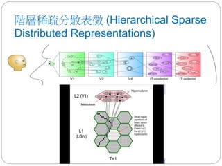 階層稀疏分散表徵 (Hierarchical Sparse
Distributed Representations)
 