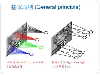 基本原則 (General principle)
局部連接(locally connected)
[區域感受野]
權重共享(weight sharing)
[共用學習參數]
 