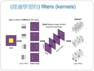 (經過學習的) filters (kernels)
 