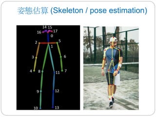 姿態估算 (Skeleton / pose estimation)
 