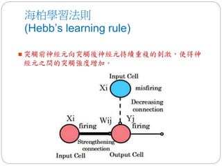 海柏學習法則
(Hebb’s learning rule)
 突觸前神經元向突觸後神經元持續重複的刺激，使得神
經元之間的突觸強度增加。
 