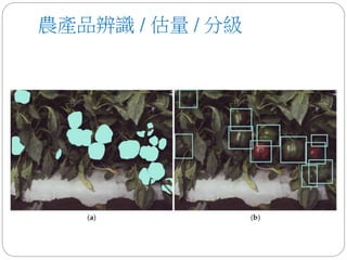 農產品辨識 / 估量 / 分級
 