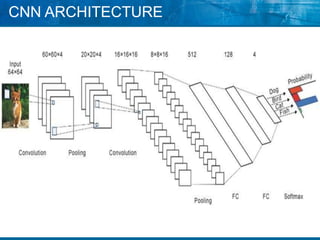 Cnn method | PPT