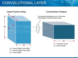 Cnn method | PPT