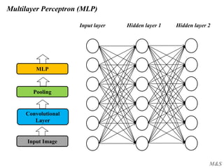 M&S
Multilayer Perceptron (MLP)
Input Image
Convolutional
Layer
Pooling
MLP
Input layer Hidden layer 1 Hidden layer 2
 