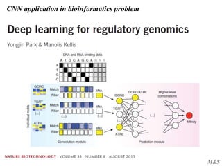 M&S
CNN application in bioinformatics problem
 