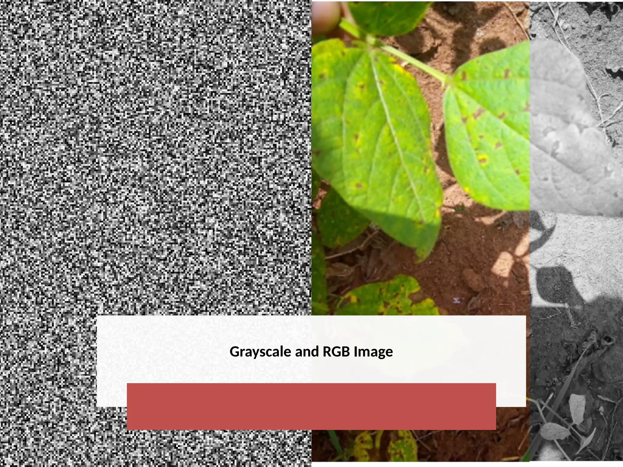 CNN_Presentation to learn the basics of CNN Model.pptx