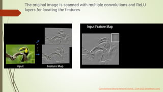 Comprehensive Guide to Convolutional Neural Networks: Architecture ...