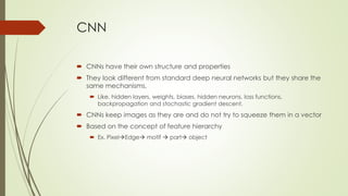 Cnn Overfitting Comprehensive Guide to Convolutional Neural Networks: Architecture ...