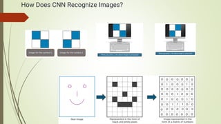 Comprehensive Guide to Convolutional Neural Networks: Architecture ...