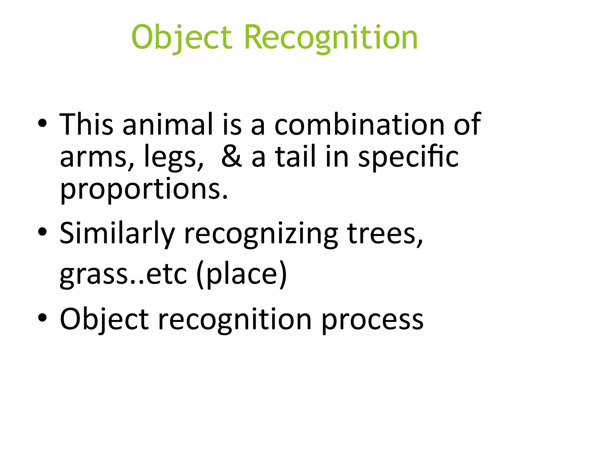 Object Recognition
• This animal is a combination of
arms, legs, & a tail in speciﬁc
proportions.
• Similarly recognizing trees,
grass..etc (place)
• Object recognition process
 