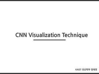 CNN Visualization Technique
KAIST 전산학부 정태영
 