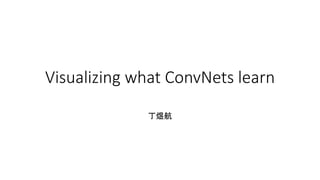 Visualizing what ConvNets learn
丁煜航
 