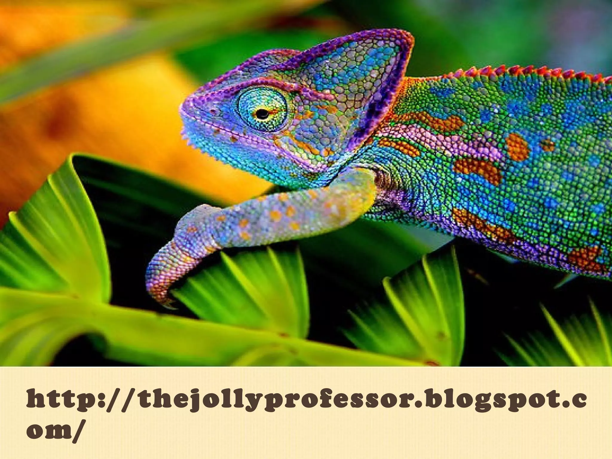 http://thejollyprofessor.blogspot.com/ 