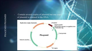 Recombinant DNA Technology and Drug Discovery | PPTX