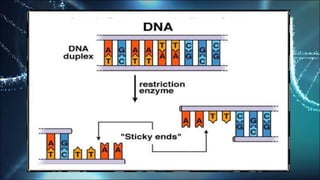 Recombinant DNA Technology and Drug Discovery | PPTX