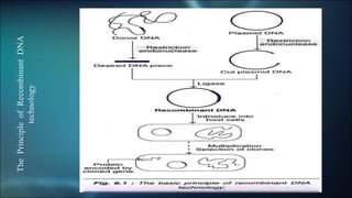 Recombinant DNA Technology and Drug Discovery | PPTX