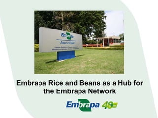Embrapa Rice and Beans as a Hub for 
the Embrapa Network 
 