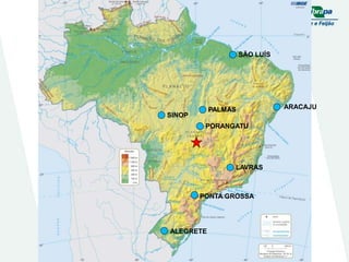 Embrapa rice and beans as a hub for the Embrapa network
