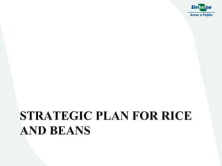 Embrapa rice and beans as a hub for the Embrapa network