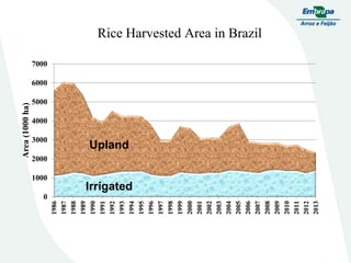 Embrapa rice and beans as a hub for the Embrapa network