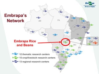 Embrapa rice and beans as a hub for the Embrapa network