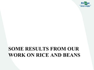 Embrapa rice and beans as a hub for the Embrapa network