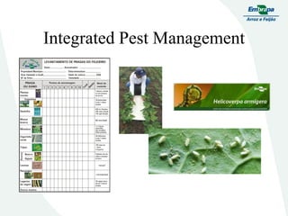 Embrapa rice and beans as a hub for the Embrapa network