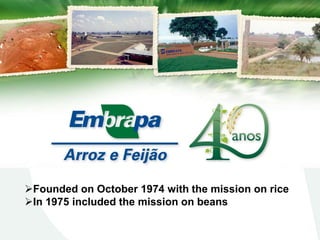 Embrapa rice and beans as a hub for the Embrapa network