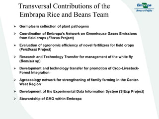 Embrapa rice and beans as a hub for the Embrapa network