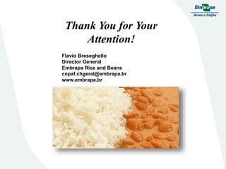 Embrapa rice and beans as a hub for the Embrapa network