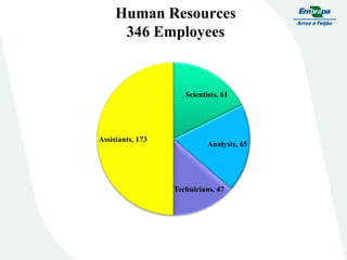 Embrapa rice and beans as a hub for the Embrapa network