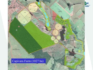 Embrapa rice and beans as a hub for the Embrapa network